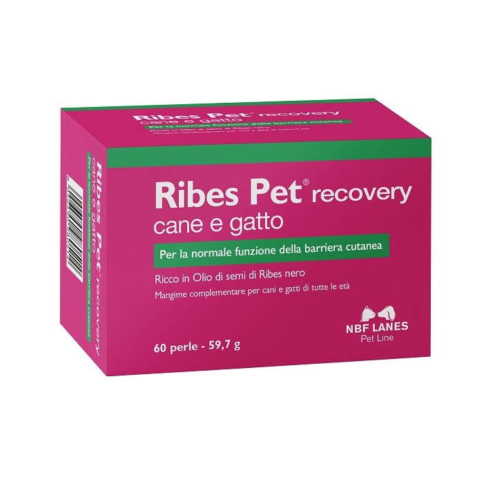 RIBES PET RECOVERY 60PRL