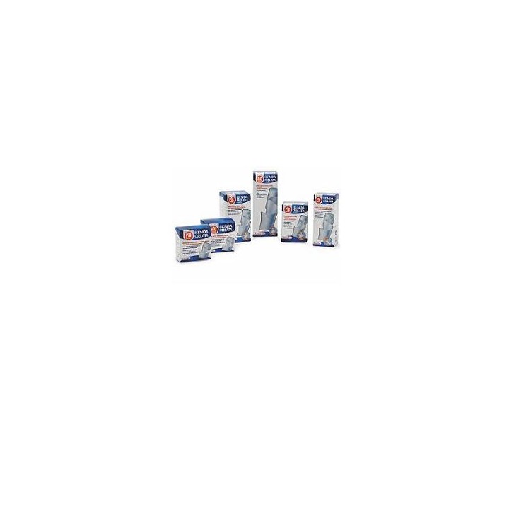 BENDA PIC AURIC DRESSF CM1X5M