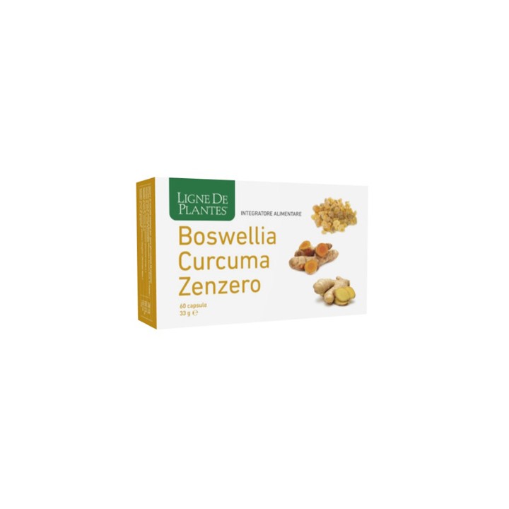 BOSWELLIA CURCUMA ZENZERO60CPS