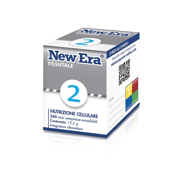 NEW ERA 2 240GR