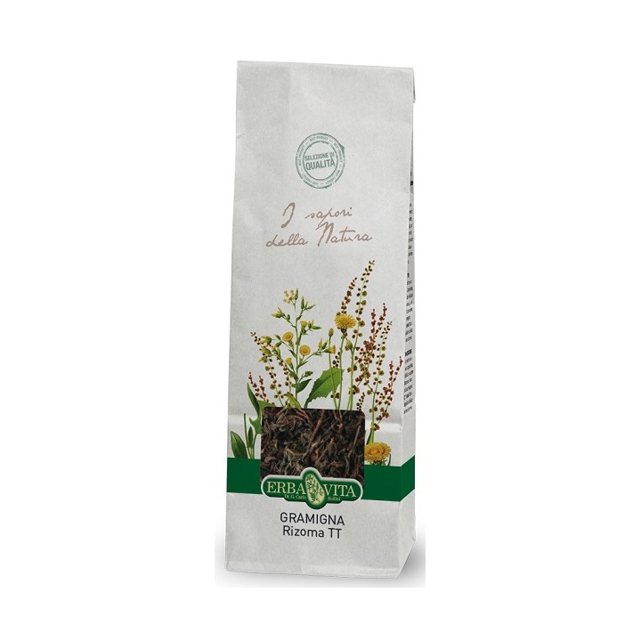 GRAMIGNA TT RIZOMA 100G