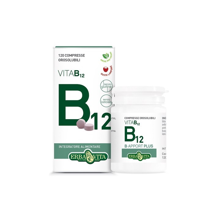 B-APPORT VIT B12 120CPR OROSOL