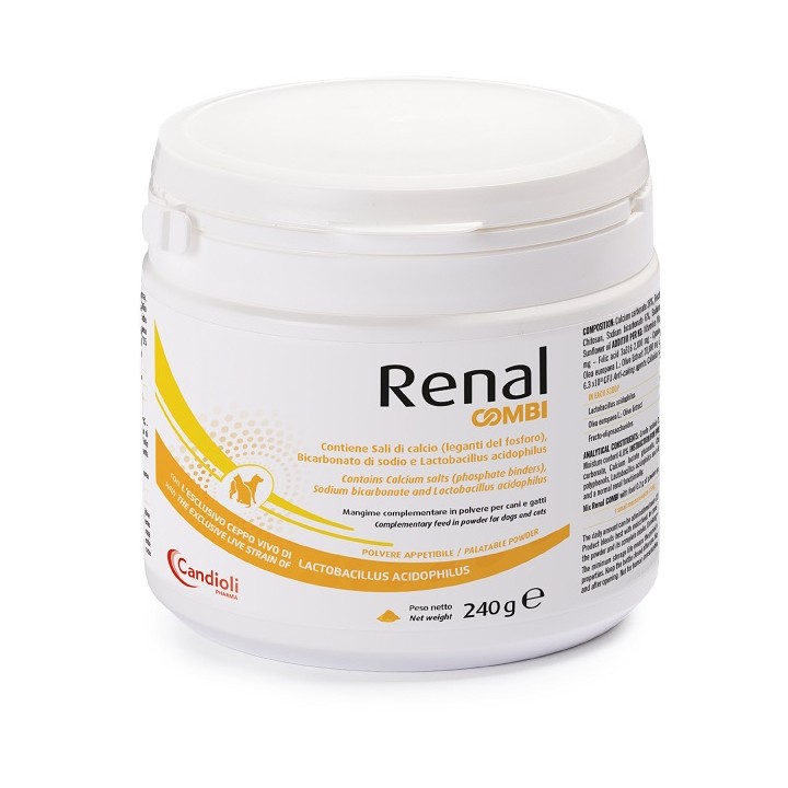 RENAL COMBI POLVERE 240G