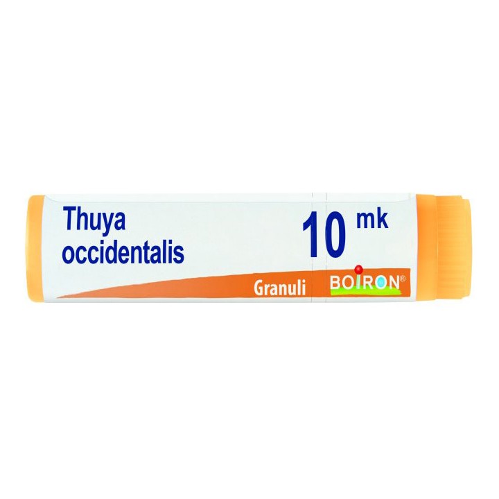 THUYA OCC XMK GL 1G