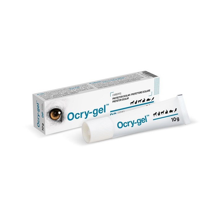 OCRY GEL 10G