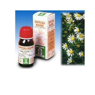 CAMOMILLA 7 50ML TM
