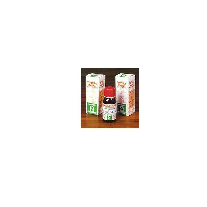 PILOSELLA 20 50ML TM