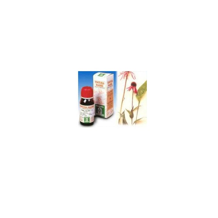 ECHINACEA 59 50ML TM