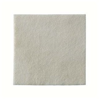 BIATAIN ALGINATE AG 10X10 10PZ