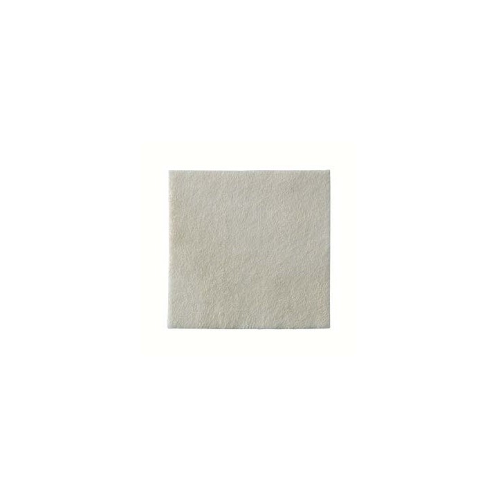 BIATAIN ALGINATE AG 10X10 10PZ