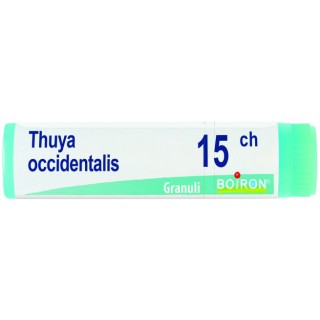 THUYA OCC 15CH GL 1G