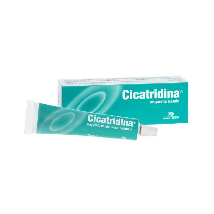CICATRIDINA UNGUENTO NAS 15G