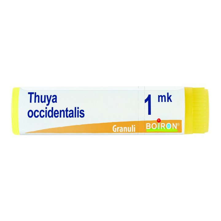 THUYA OCC MK GL 1G