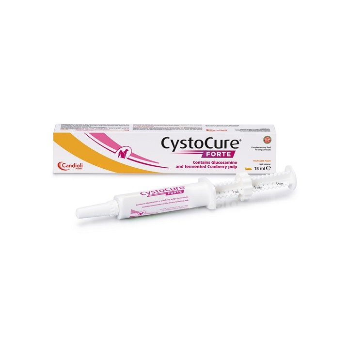 CYSTOCURE FORTE PASTA 15ML