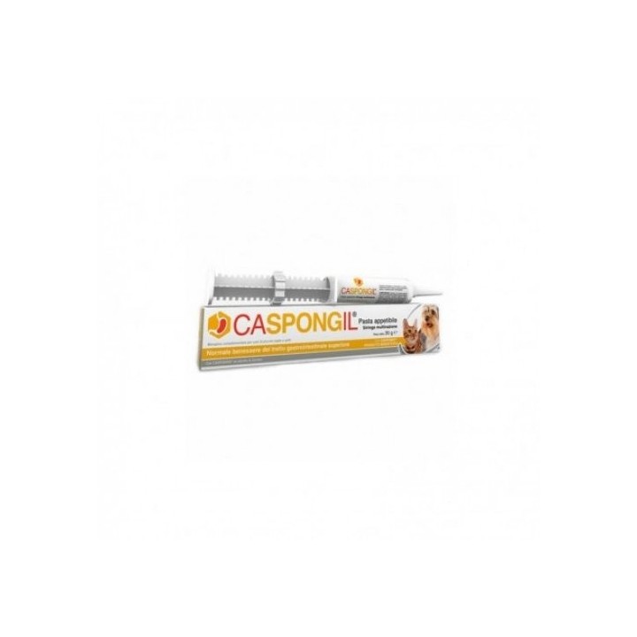 CASPONGIL PASTA 30G