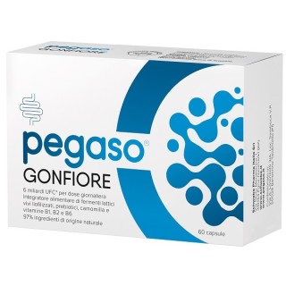 PEGASO GONFIORE 60CPS