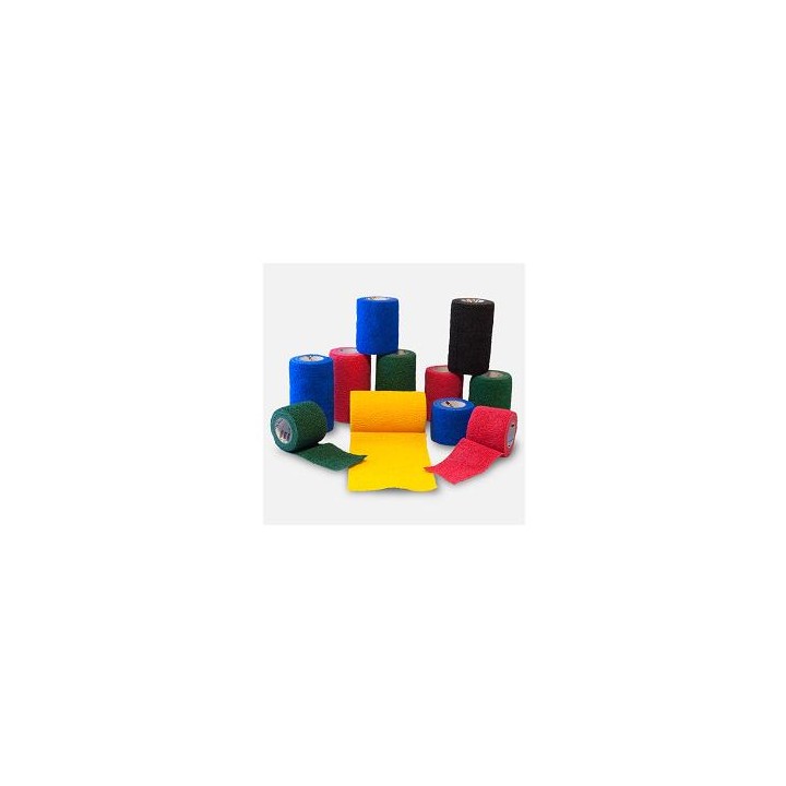 VETRAP FASCIA ELASTICA RO 10CM