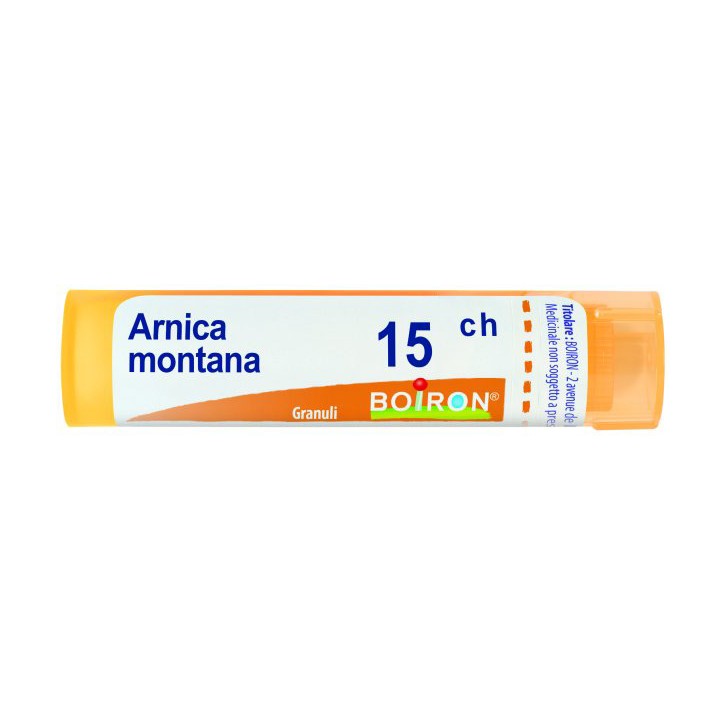 ARNICA 15CH GR 4G