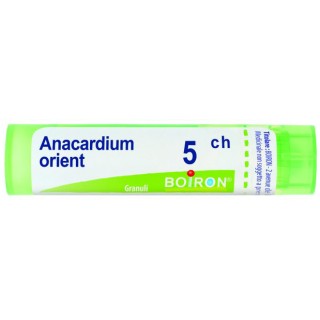 ANACARDIUM ORIENT 5CH GR 4G