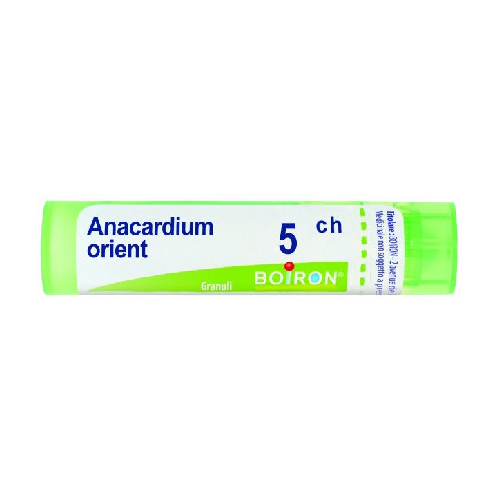 ANACARDIUM ORIENT 5CH GR 4G