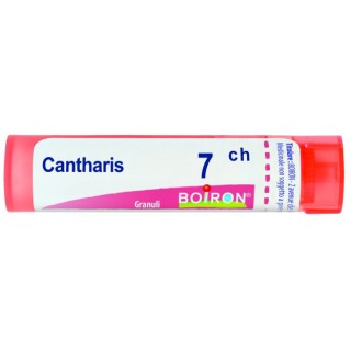 CANTHARIS 7CH GR 4G