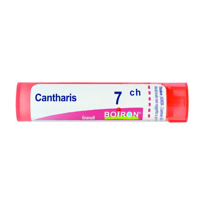 CANTHARIS 7CH GR 4G