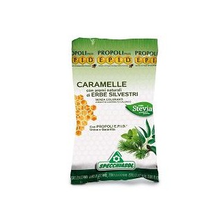 EPID CARAM ERBE S/ZUCCH 24PZ