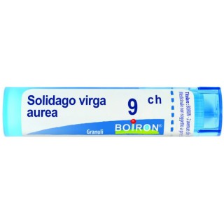 SOLIDAGO VIRGA AU 9CH GR 4G