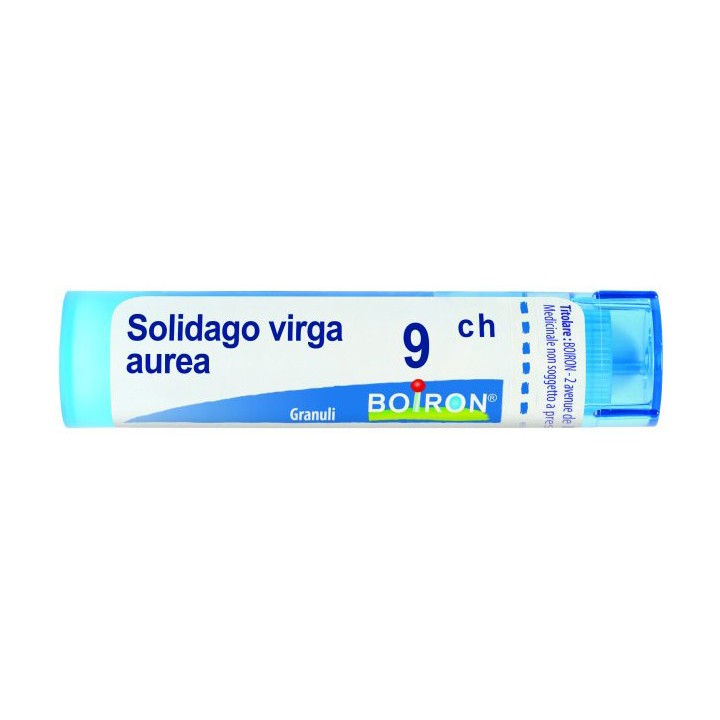 SOLIDAGO VIRGA AU 9CH GR 4G
