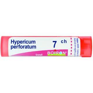 HYPERICUM PERF 7CH GR 4G