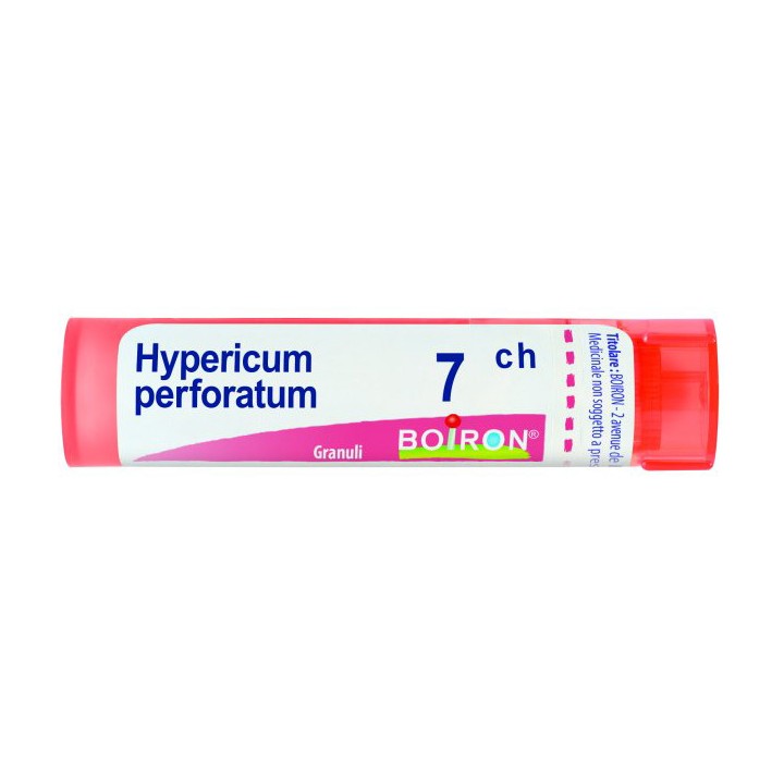 HYPERICUM PERF 7CH GR 4G