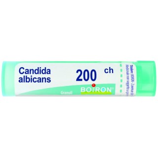 CANDIDA ALBICANS 200CH GR 4G