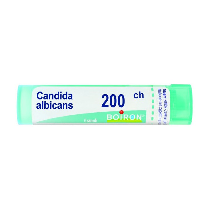 CANDIDA ALBICANS 200CH GR 4G