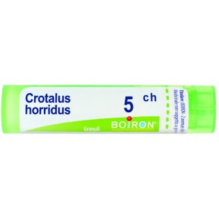 CROTALUS HORRIDUS 5CH GR 4G