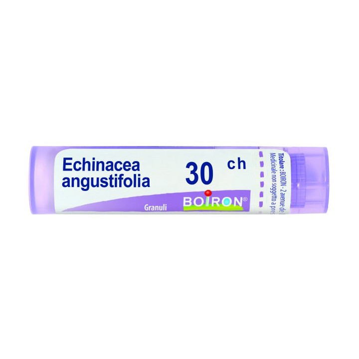 ECHINACEA ANGUST 30CH GR 4G