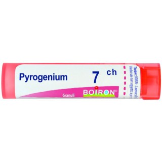 PYROGENIUM 7CH GR 4G