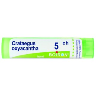 CRATAEGUS OXYA 5CH GR 4G