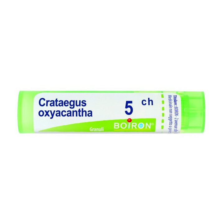 CRATAEGUS OXYA 5CH GR 4G