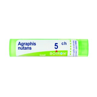 AGRAPHIS NUT BOI*5CH GR 4G