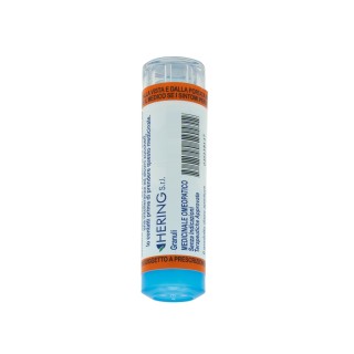 LEDUM PALUSTRE*200CH 80GR 4G
