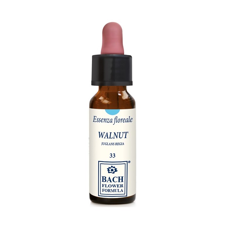WALNUT ORIGINAL 10ML GTT