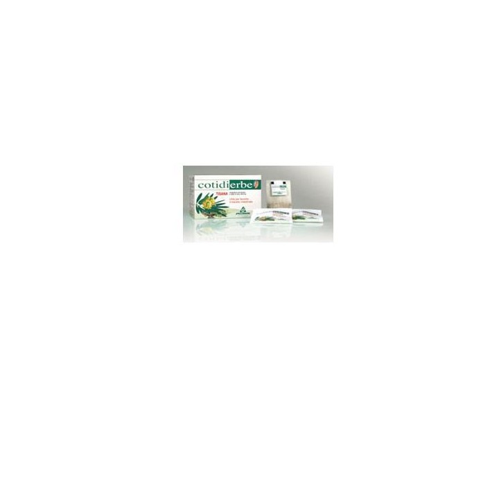 COTIDIERBE TISANA 15BUST 27G