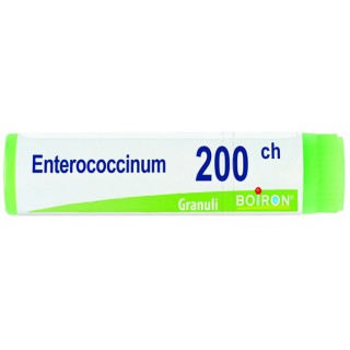 ENTEROCOCCINUM 200CH GL 1G