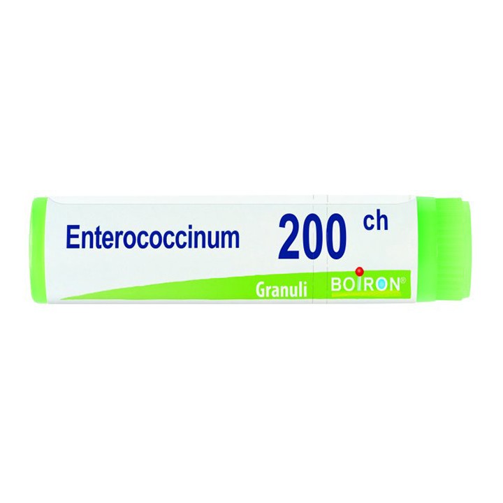 ENTEROCOCCINUM 200CH GL 1G