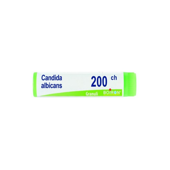 CANDIDA ALBICANS 200CH GL 1G