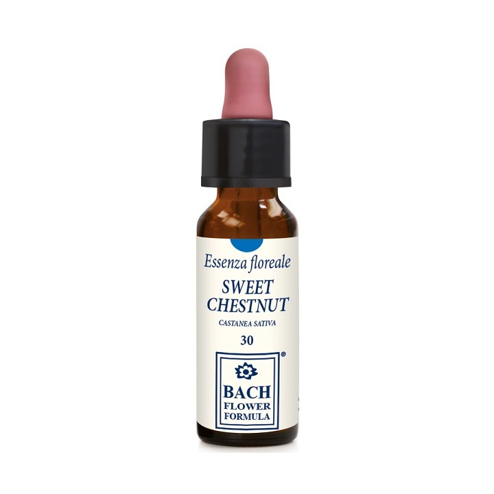 SWEET CHESTNUT ORIGINAL 10ML