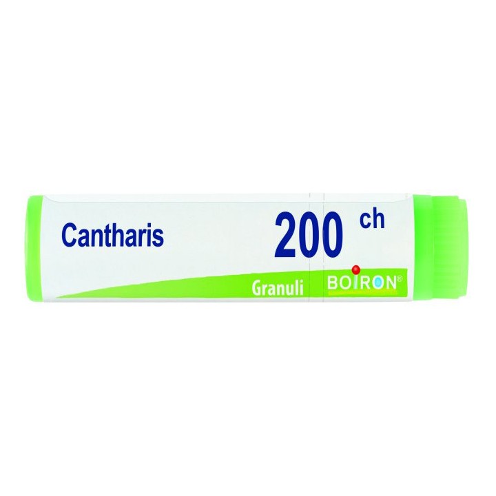 CANTHARIS 200CH GL 1G