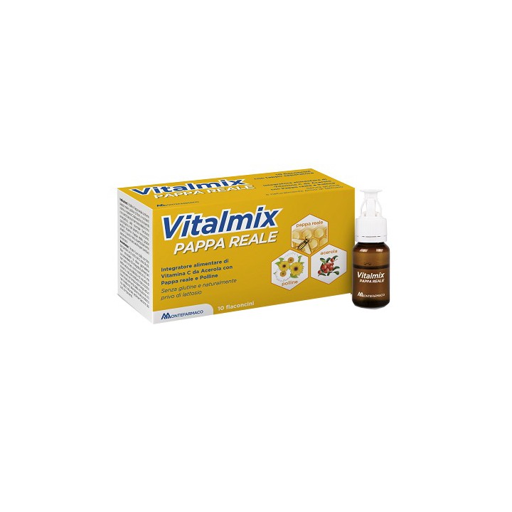 VITALMIX PAPPA REALE 10FL