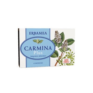 CARMINA PLUS 24CPR 19,2G