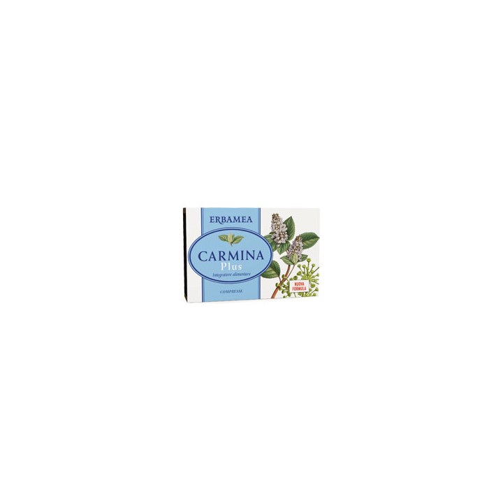 CARMINA PLUS 24CPR 19,2G